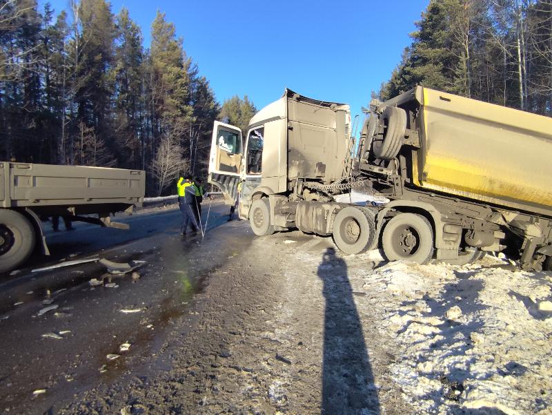 На трассе «Серов – Североуральск – Ивдель» столкнулись два грузовика: один из водителей погиб | На Урале столкнулись две фуры: один из водителей погиб на месте