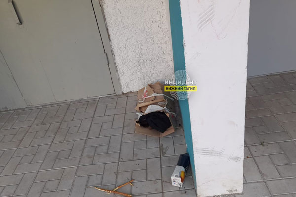 В Нижнем Тагиле около одного из подъездов жители нашли мертвого котенка