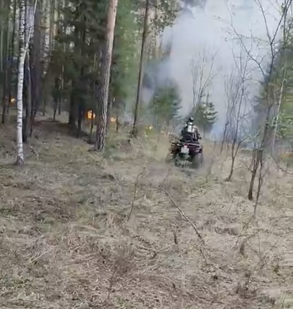 Героические спасатели борются с огнем: Лесной пожар в Нижнем Тагиле под контролем благодаря неутомимым героям и солидарности граждан