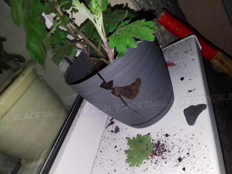 В Нижнем Тагиле хулиганы чуть не подорвали балкон местной жительницы | Жительнице Нижнего Тагила бросили на балкон петарду